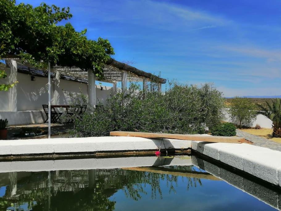 Villa Casa Jardin. Vivienda Rural En Zona Tranquila. Lucainena de las Torres Exterior foto