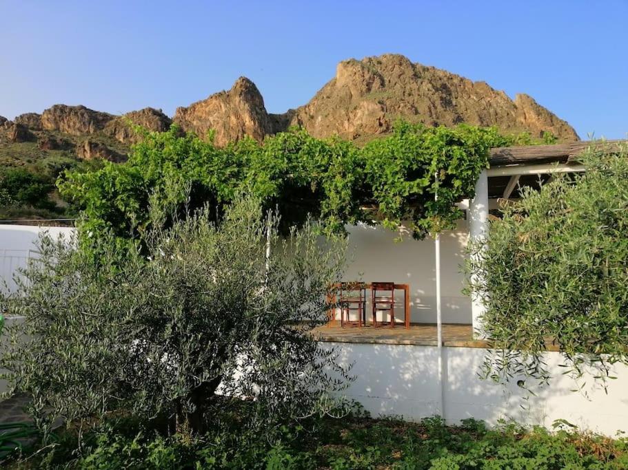 Villa Casa Jardin. Vivienda Rural En Zona Tranquila. Lucainena de las Torres Exterior foto